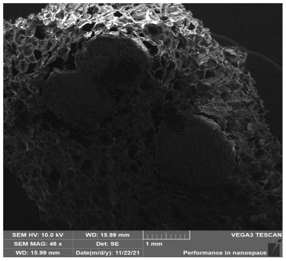 一種改性可發(fā)性聚苯乙烯顆粒、制備方法及其應(yīng)用