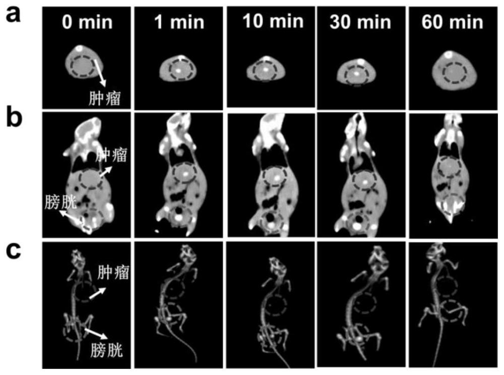 鉿摻雜熒光碳點及其制備方法與應用