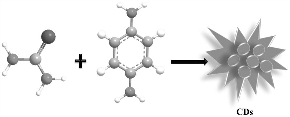 一種熒光碳點及其制備方法與應用