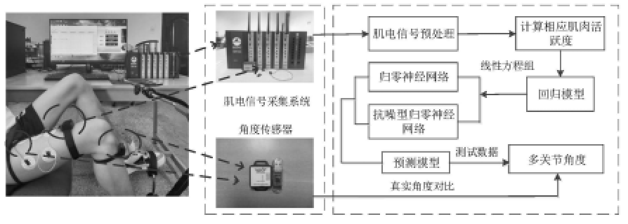 一種基于表面肌電信號的下肢多關節角度估計方法